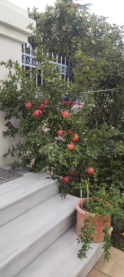 Dora'S Home With Garden Volos Luaran gambar