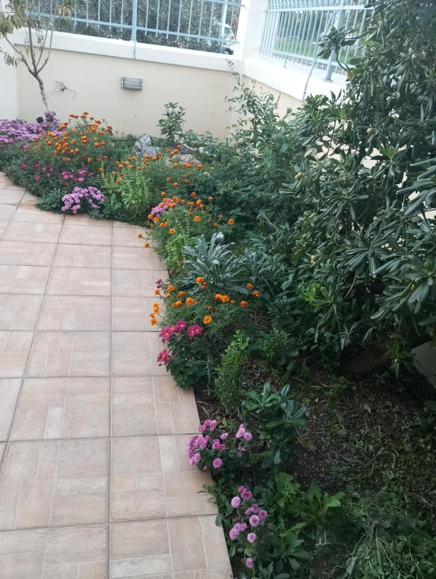 Dora'S Home With Garden Volos Luaran gambar